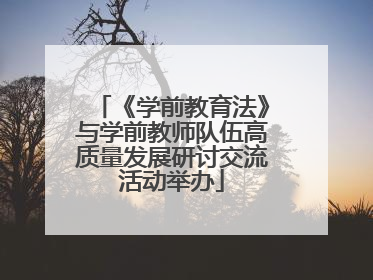 《学前教育法》与学前教师队伍高质量发展研讨交流活动举办