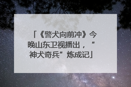 《警犬向前冲》今晚山东卫视播出，“神犬奇兵”炼成记