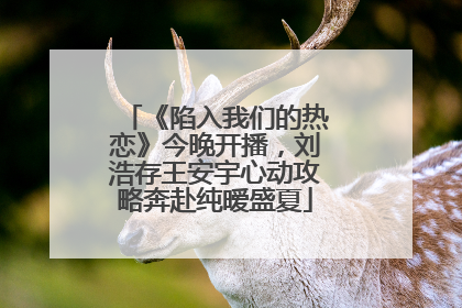 《陷入我们的热恋》今晚开播，刘浩存王安宇心动攻略奔赴纯暧盛夏