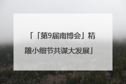 「第9届南博会」精雕小细节共谋大发展