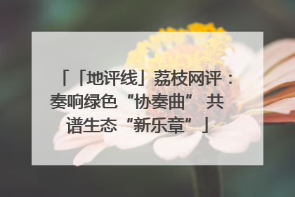 「地评线」荔枝网评：奏响绿色“协奏曲” 共谱生态“新乐章”