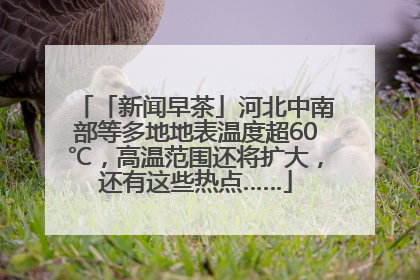 「新闻早茶」河北中南部等多地地表温度超60℃，高温范围还将扩大，还有这些热点……