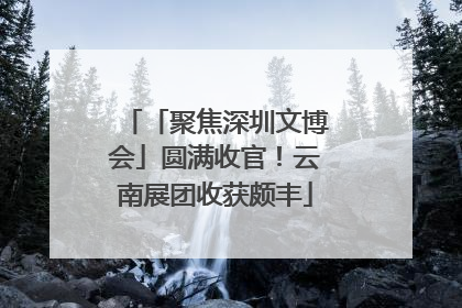 「聚焦深圳文博会」圆满收官！云南展团收获颇丰