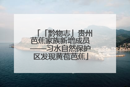 「黔物志」贵州芭蕉家族新增成员——习水自然保护区发现黄苞芭蕉