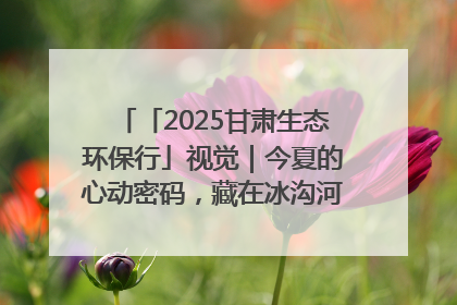 「2025甘肃生态环保行」视觉｜今夏的心动密码，藏在冰沟河的潋滟波光里