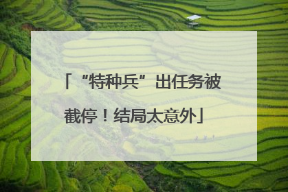 “特种兵”出任务被截停！结局太意外