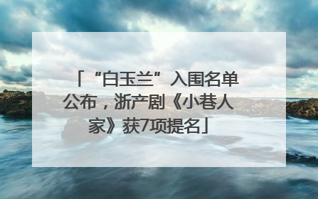 “白玉兰”入围名单公布，浙产剧《小巷人家》获7项提名