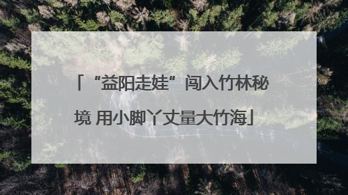 “益阳走娃”闯入竹林秘境 用小脚丫丈量大竹海