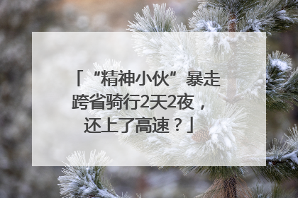 “精神小伙”暴走跨省骑行2天2夜，还上了高速？