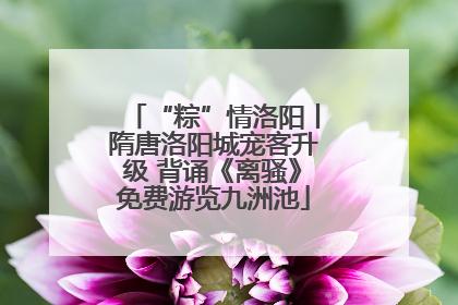 “粽”情洛阳丨隋唐洛阳城宠客升级 背诵《离骚》免费游览九洲池