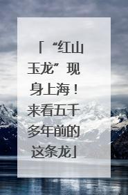 “红山玉龙”现身上海！来看五千多年前的这条龙