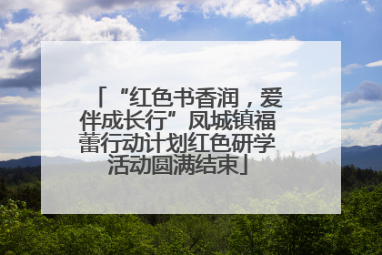 “红色书香润，爱伴成长行”凤城镇福蕾行动计划红色研学活动圆满结束
