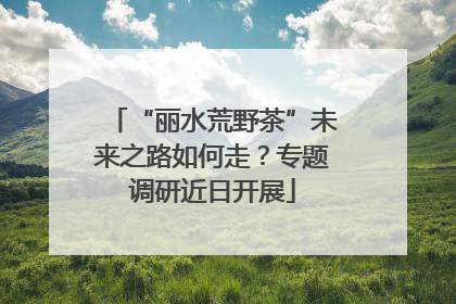 “丽水荒野茶”未来之路如何走？专题调研近日开展