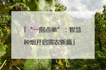 “一指点单”：智慧种烟开启惠农新篇