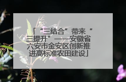 “三结合”带来“三提升”——安徽省六安市金安区创新推进高标准农田建设