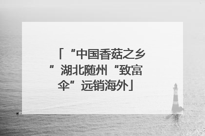 “中国香菇之乡”湖北随州“致富伞”远销海外