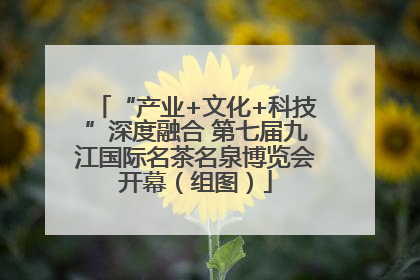 “产业+文化+科技”深度融合 第七届九江国际名茶名泉博览会开幕（组图）