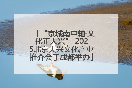 “京城南中轴·文化正大兴” 2025北京大兴文化产业推介会于成都举办