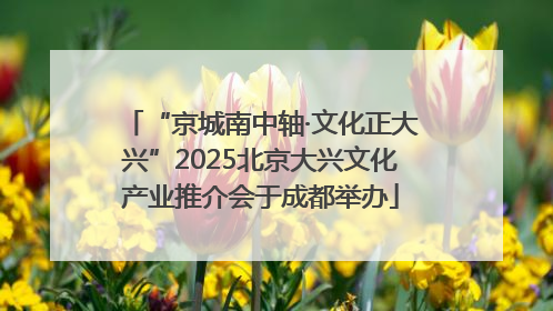 “京城南中轴·文化正大兴”2025北京大兴文化产业推介会于成都举办
