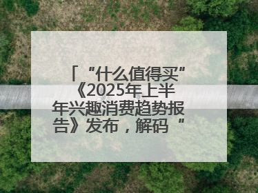 “什么值得买”《2025年上半年兴趣消费趋势报告》发布，解码“心价比”时代兴趣消费新范式