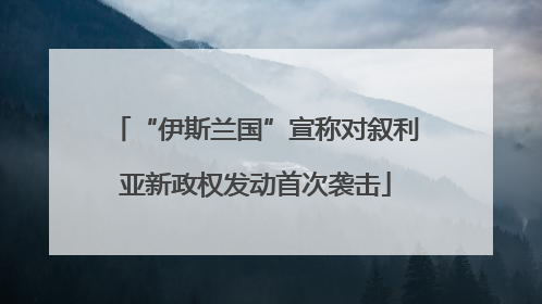 “伊斯兰国”宣称对叙利亚新政权发动首次袭击