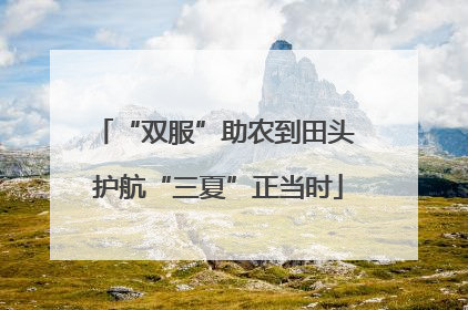 “双服”助农到田头 护航“三夏”正当时