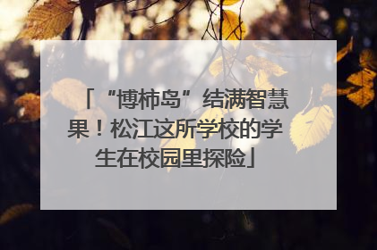 “博柿岛”结满智慧果！松江这所学校的学生在校园里探险