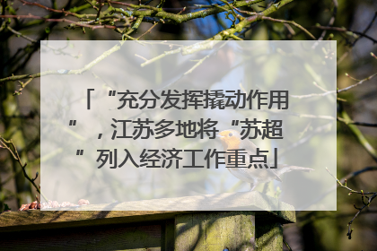 “充分发挥撬动作用”，江苏多地将“苏超”列入经济工作重点