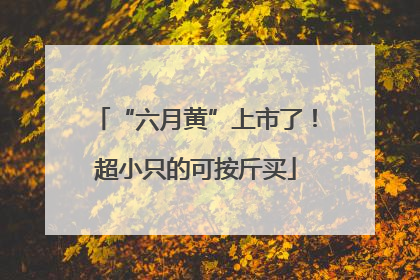 “六月黄”上市了！超小只的可按斤买