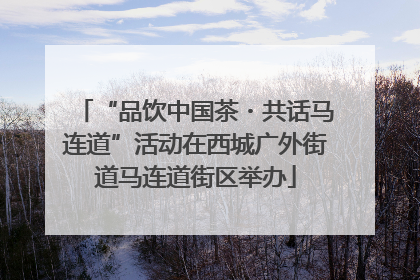 “品饮中国茶・共话马连道”活动在西城广外街道马连道街区举办