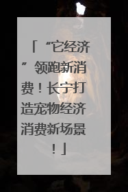 “它经济”领跑新消费！长宁打造宠物经济消费新场景！