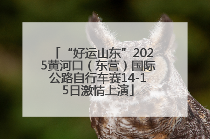 “好运山东”2025黄河口（东营）国际公路自行车赛14-15日激情上演
