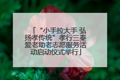 “小手拉大手 弘扬孝传统”孝行三秦爱老助老志愿服务活动启动仪式举行