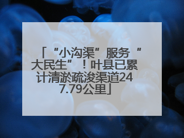 “小沟渠”服务“大民生”！叶县已累计清淤疏浚渠道247.79公里