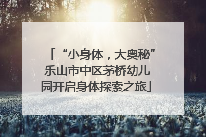 “小身体，大奥秘” 乐山市中区茅桥幼儿园开启身体探索之旅