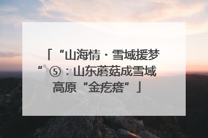 “山海情・雪域援梦”⑤：山东蘑菇成雪域高原“金疙瘩”