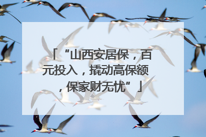 “山西安居保，百元投入，撬动高保额，保家财无忧”