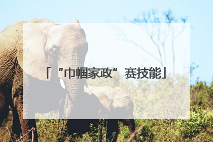 “巾帼家政”赛技能