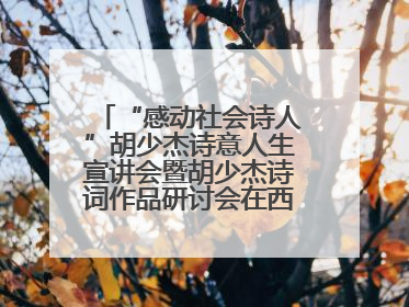 “感动社会诗人”胡少杰诗意人生宣讲会暨胡少杰诗词作品研讨会在西安举行