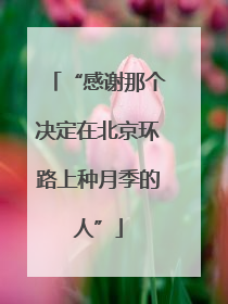 “感谢那个决定在北京环路上种月季的人”