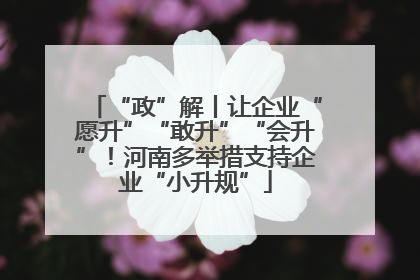 “政”解丨让企业“愿升”“敢升”“会升”！河南多举措支持企业“小升规”