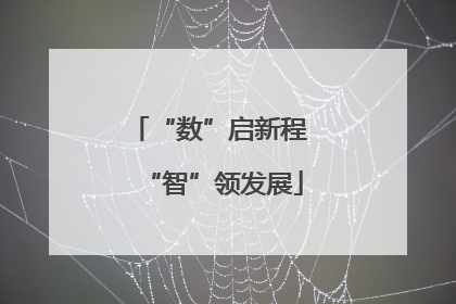 “数”启新程 “智”领发展