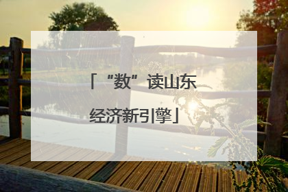 “数”读山东经济新引擎
