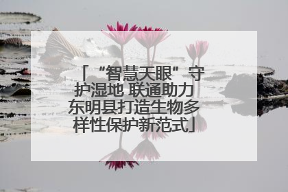 “智慧天眼”守护湿地 联通助力东明县打造生物多样性保护新范式