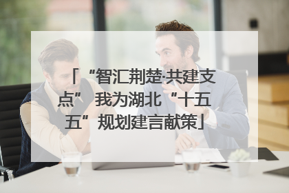“智汇荆楚·共建支点” 我为湖北“十五五”规划建言献策