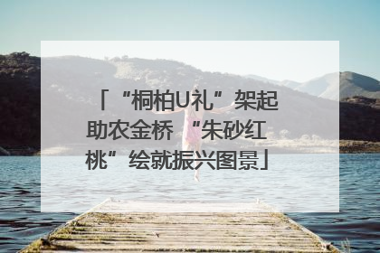 “桐柏U礼”架起助农金桥 “朱砂红桃”绘就振兴图景
