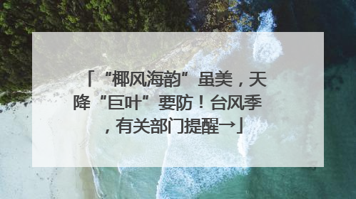 “椰风海韵”虽美，天降“巨叶”要防！台风季，有关部门提醒→