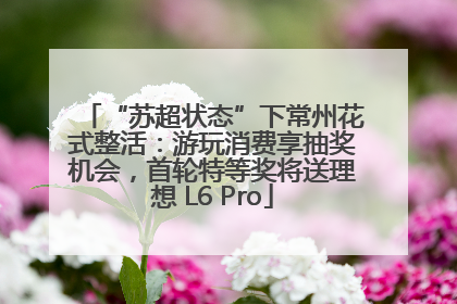“苏超状态”下常州花式整活：游玩消费享抽奖机会，首轮特等奖将送理想 L6 Pro