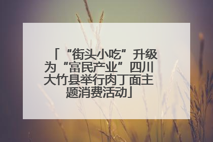 “街头小吃”升级为“富民产业”四川大竹县举行肉丁面主题消费活动
