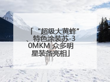 “超级大黄蜂”、特色涂装苏-30MKM 众多明星装备亮相